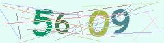 CAPTCHA validation image
