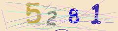 CAPTCHA validation image