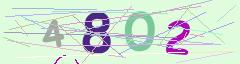 CAPTCHA validation image