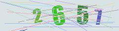 CAPTCHA validation image