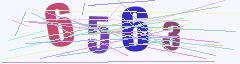 CAPTCHA validation image