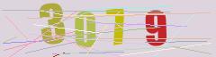 CAPTCHA validation image