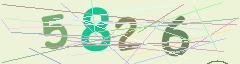 CAPTCHA validation image