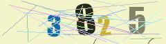 CAPTCHA validation image