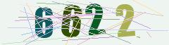 CAPTCHA validation image
