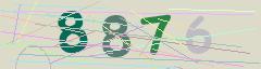 CAPTCHA validation image