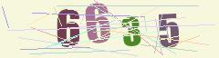 CAPTCHA validation image
