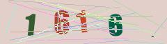 CAPTCHA validation image