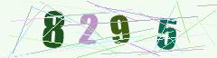 CAPTCHA validation image