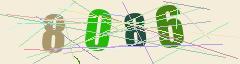 CAPTCHA validation image
