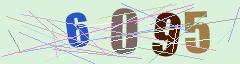 CAPTCHA validation image