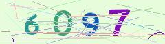 CAPTCHA validation image