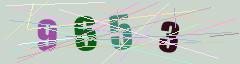 CAPTCHA validation image